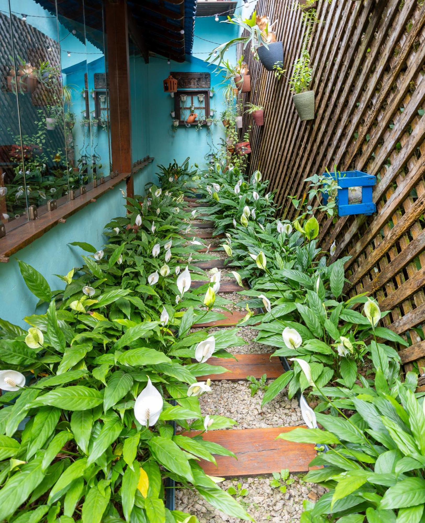 Hotel Pousada Telhado Azul à Abraão Extérieur photo